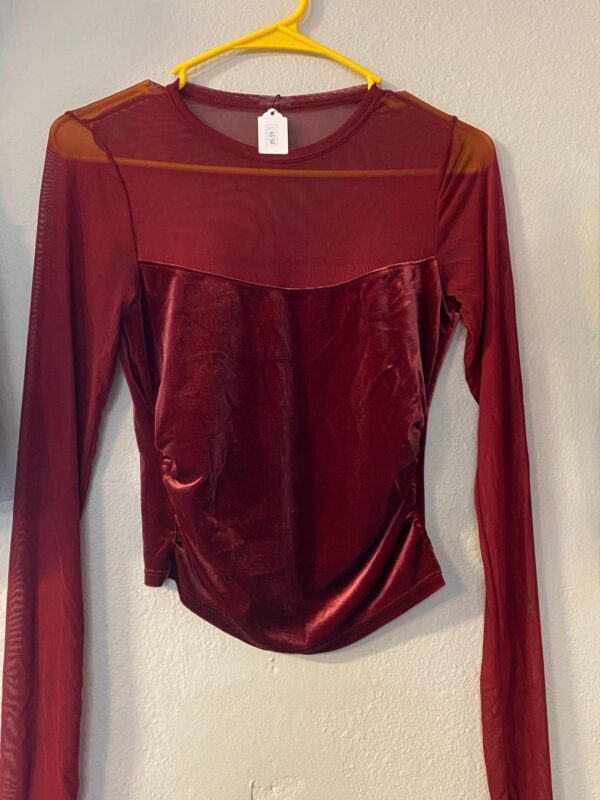 Burgundy Velvet & Mesh Top
